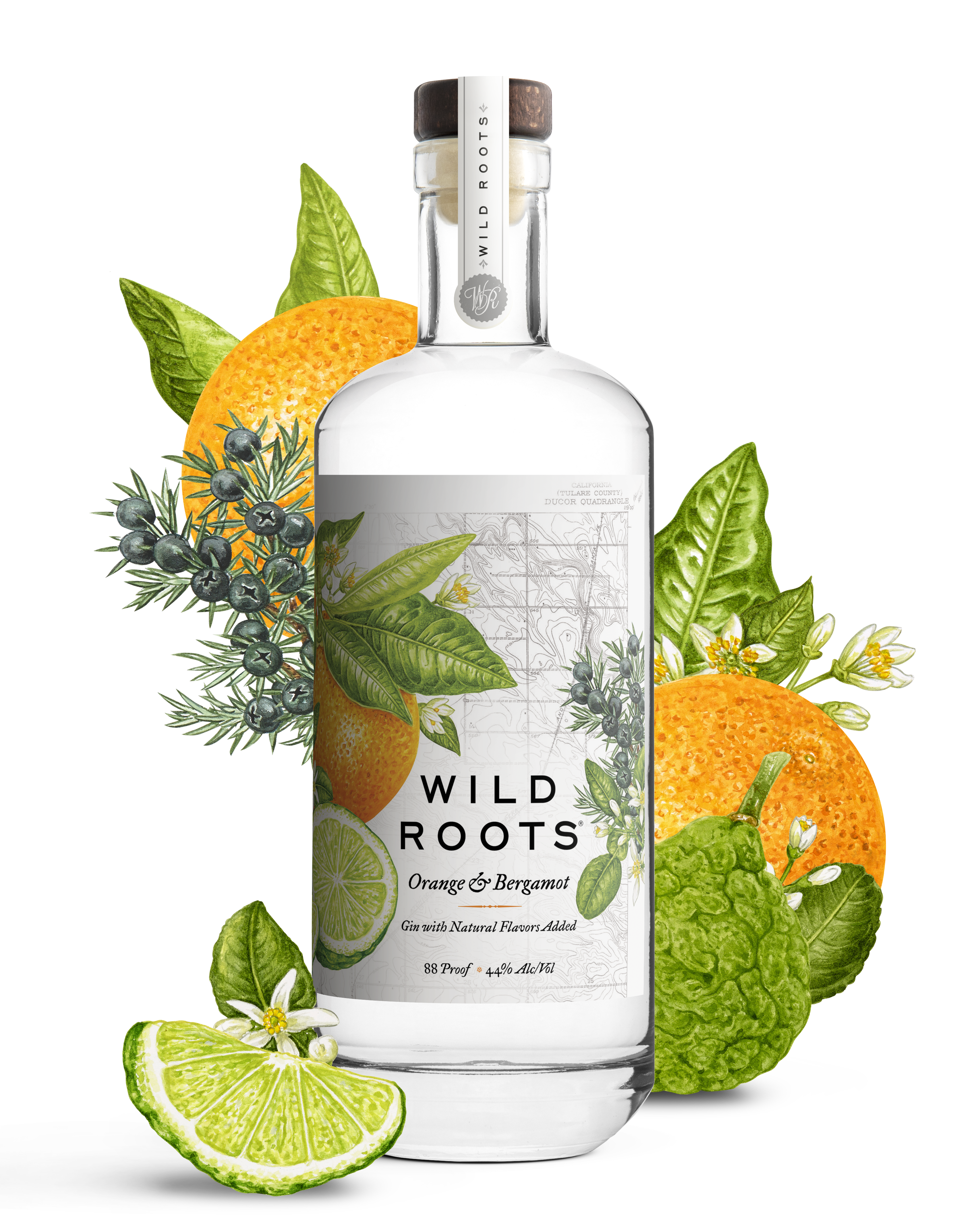 Orange & Bergamot Gin Wild Roots –