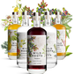 Five bottles of Wild Roots gin and vodka with floral and botanical designs on their labels against a white background.